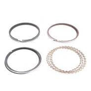 Кольца поршневые STD 2.2 для китайского автомобиля Tianye Admiral (491Q-1004014)