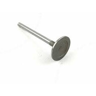 Клапан выпускной для Tianye Admiral  (486Q-1007018)