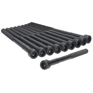 Болт ГБЦ аналог ZEKKERT 10шт комплект 2,0/2,4 для Geely Atlas  (1025006700KM)