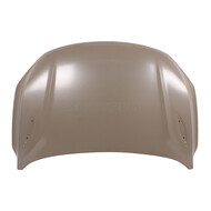 Капот с 2023 Китай для Geely Coolray  (5032038400C15)